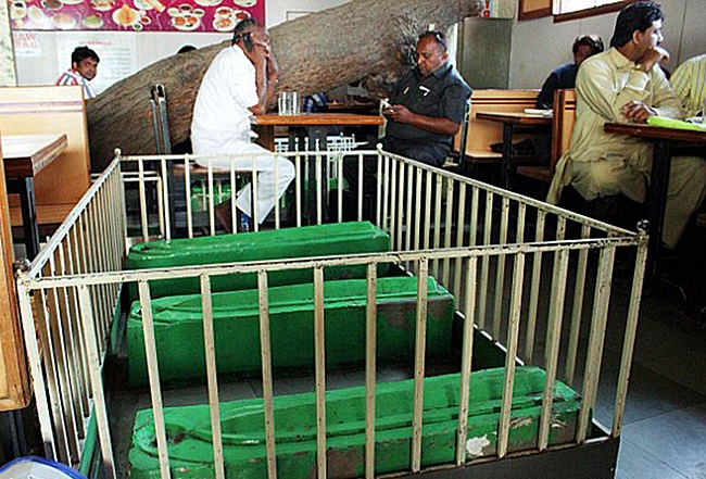 Ресторан New Lucky